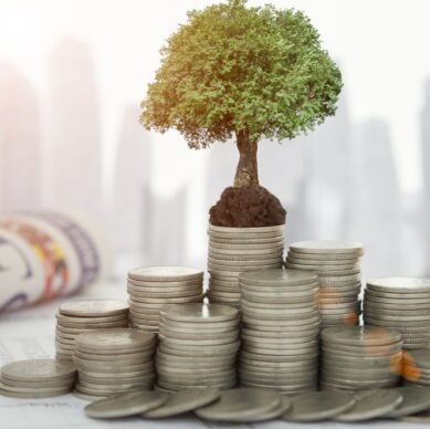 Benefits of Investing in Land in Poland